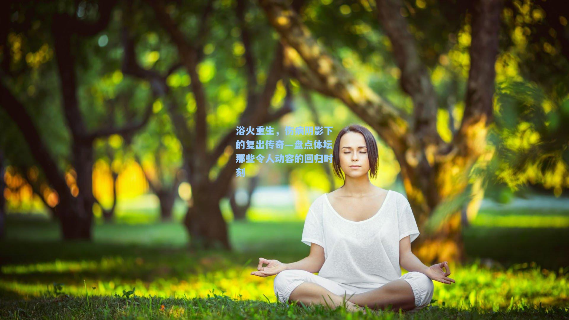 浴火重生，伤病阴影下的复出传奇—盘点体坛那些令人动容的回归时刻